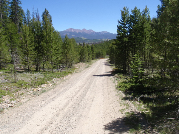 Down the west side of NF-84 on the GDMBR.